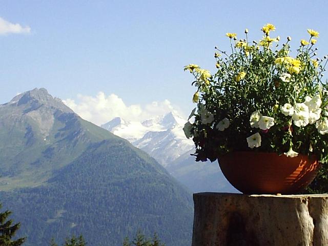 2005 - 054.jpg - Blick auf die Venediger